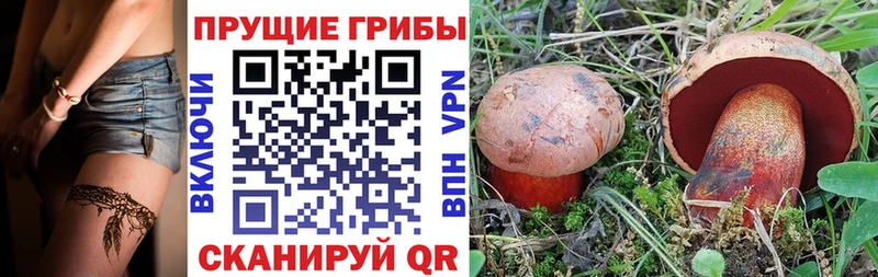 Галлюциногенные грибы Psilocybe  наркошоп  Красково 